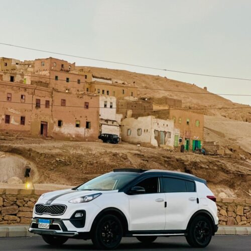 luxor west bank private transfer tour