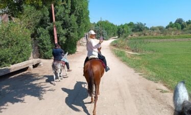 Horseback riding in Luxor’s countryside at sunset – peaceful rural experience with palm groves and village trails.
